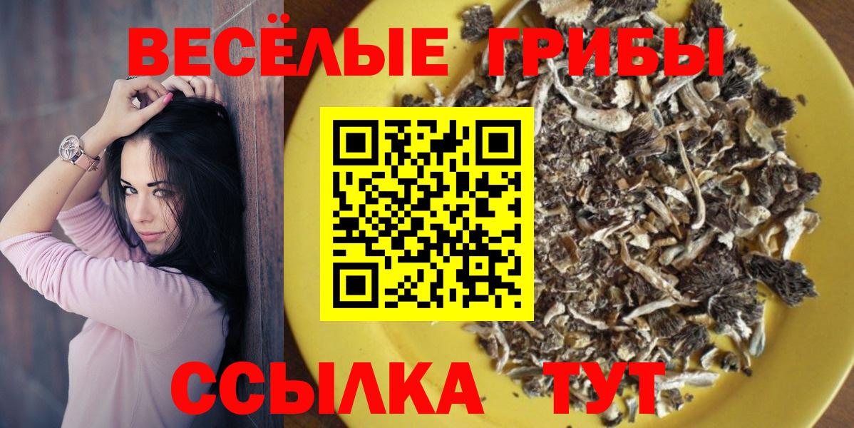 Галлюциногенные грибы GOLDEN TEACHER Карталы